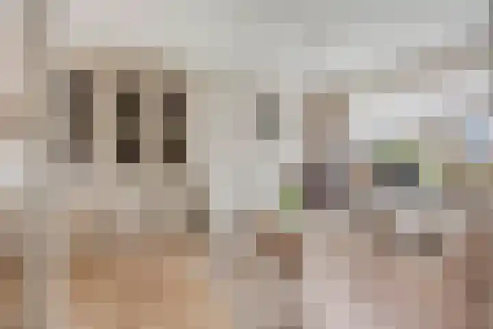 Clematislaan 7 Gouda thumbnail 6
