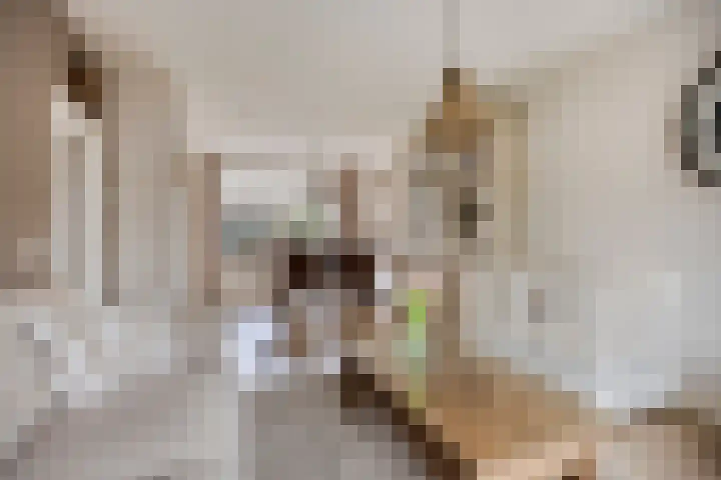 Clematislaan 7 Gouda thumbnail 7