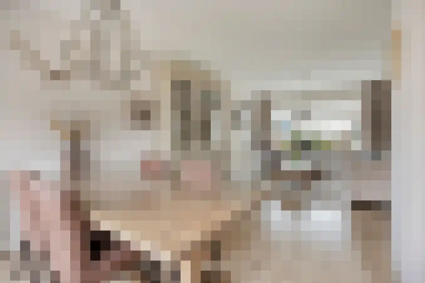 Clematislaan 7 Gouda thumbnail 8