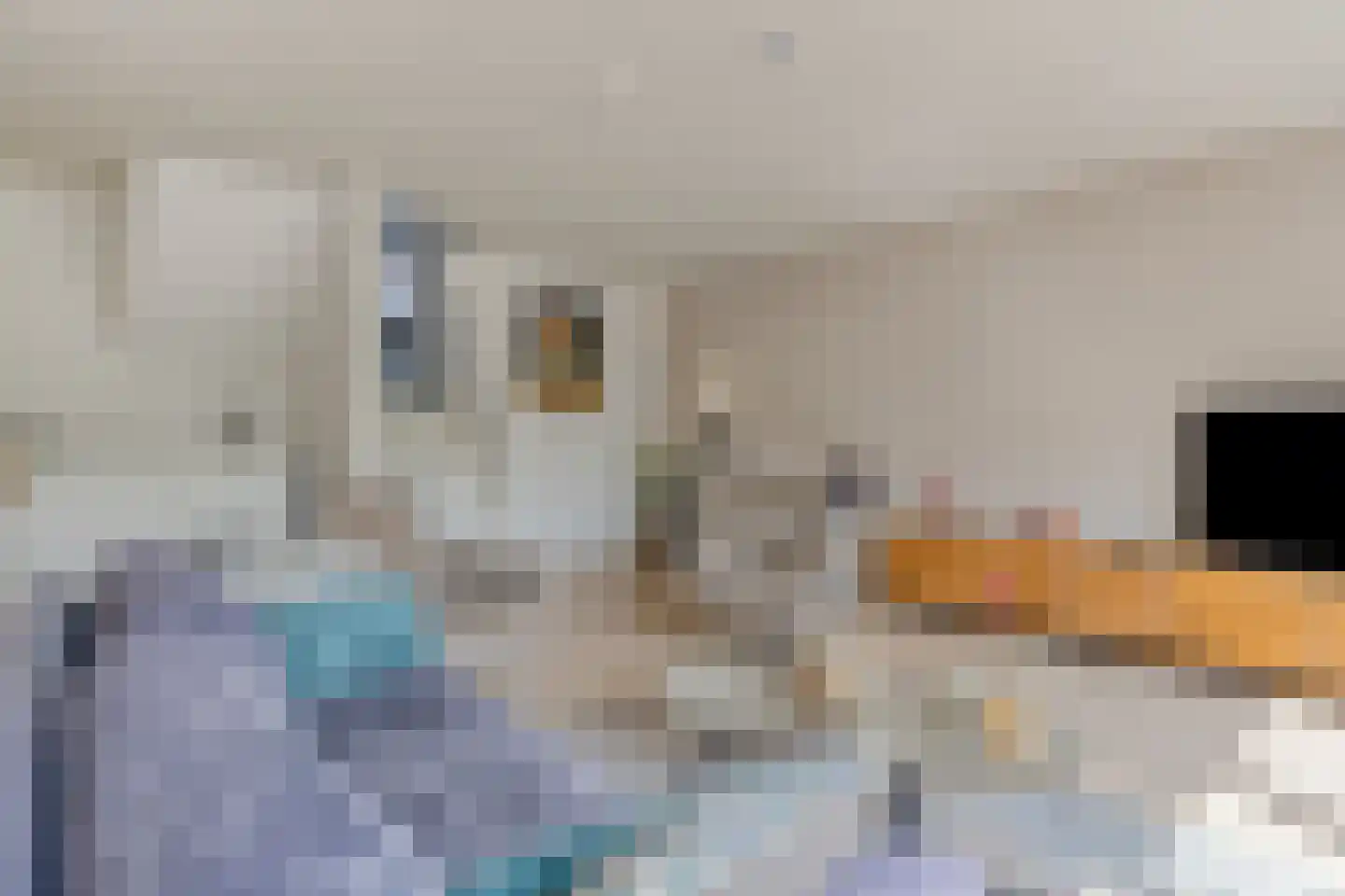 Clematispark 3 Zoetermeer thumbnail 13