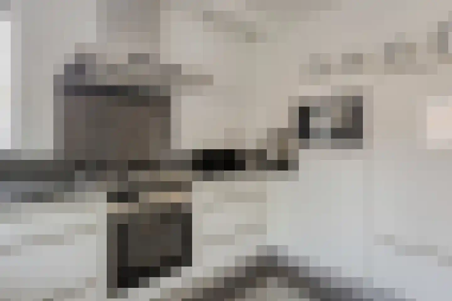 Clematispark 3 Zoetermeer thumbnail 20