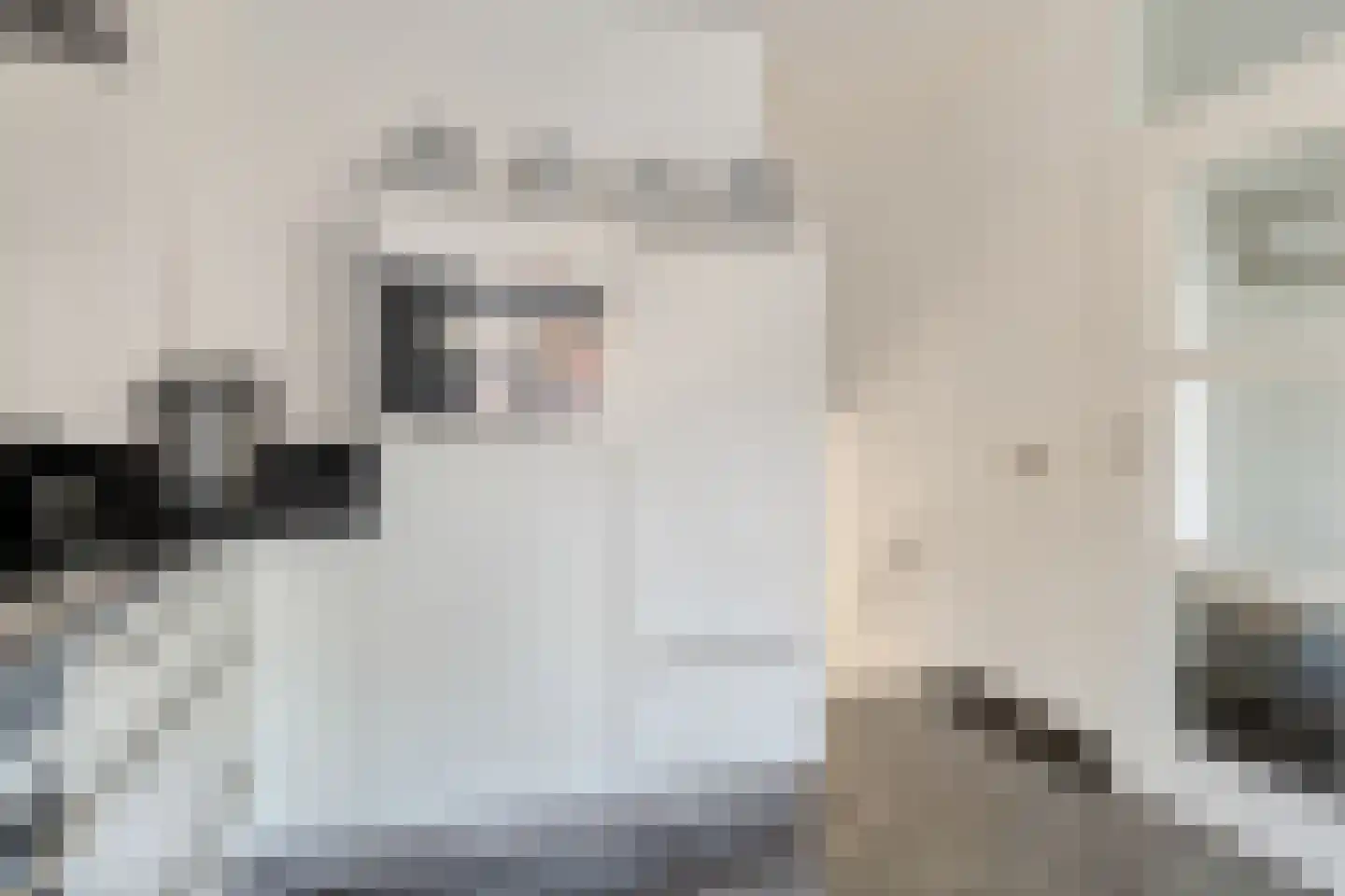 Clematispark 3 Zoetermeer thumbnail 21
