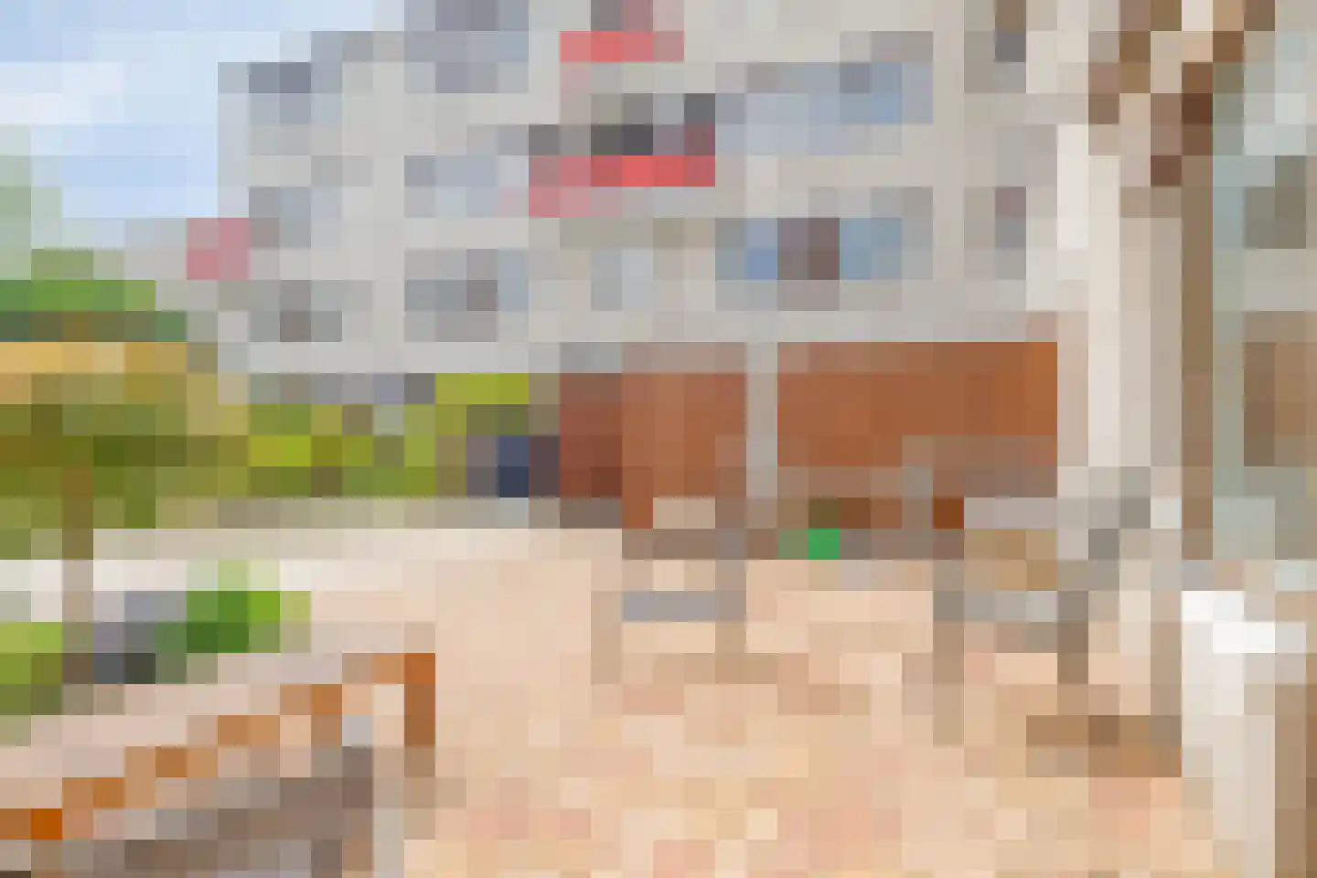 Clematispark 3 Zoetermeer thumbnail 29