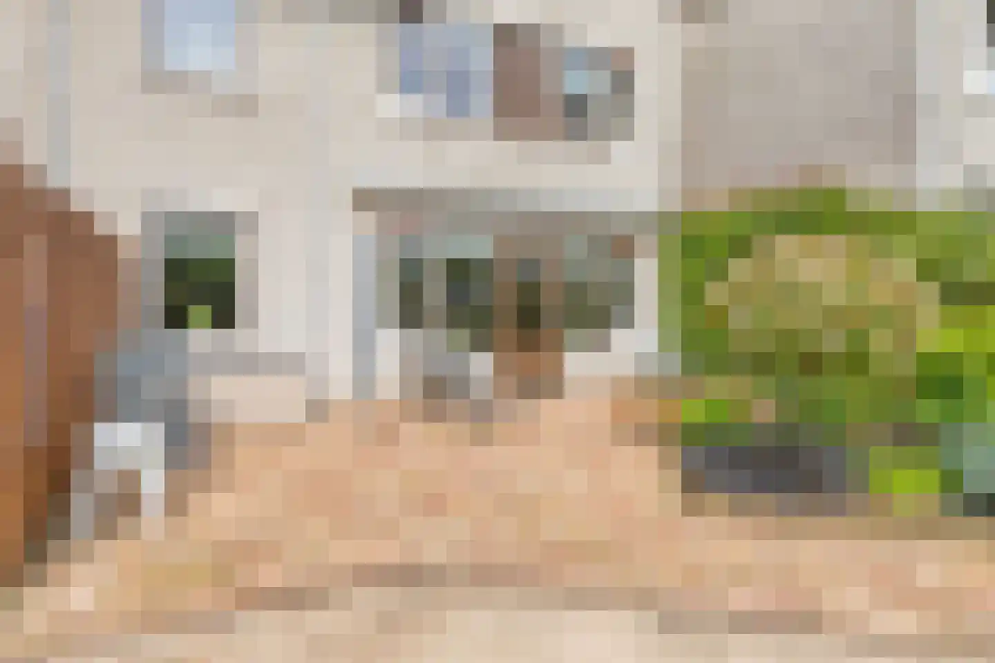 Clematispark 3 Zoetermeer thumbnail 30