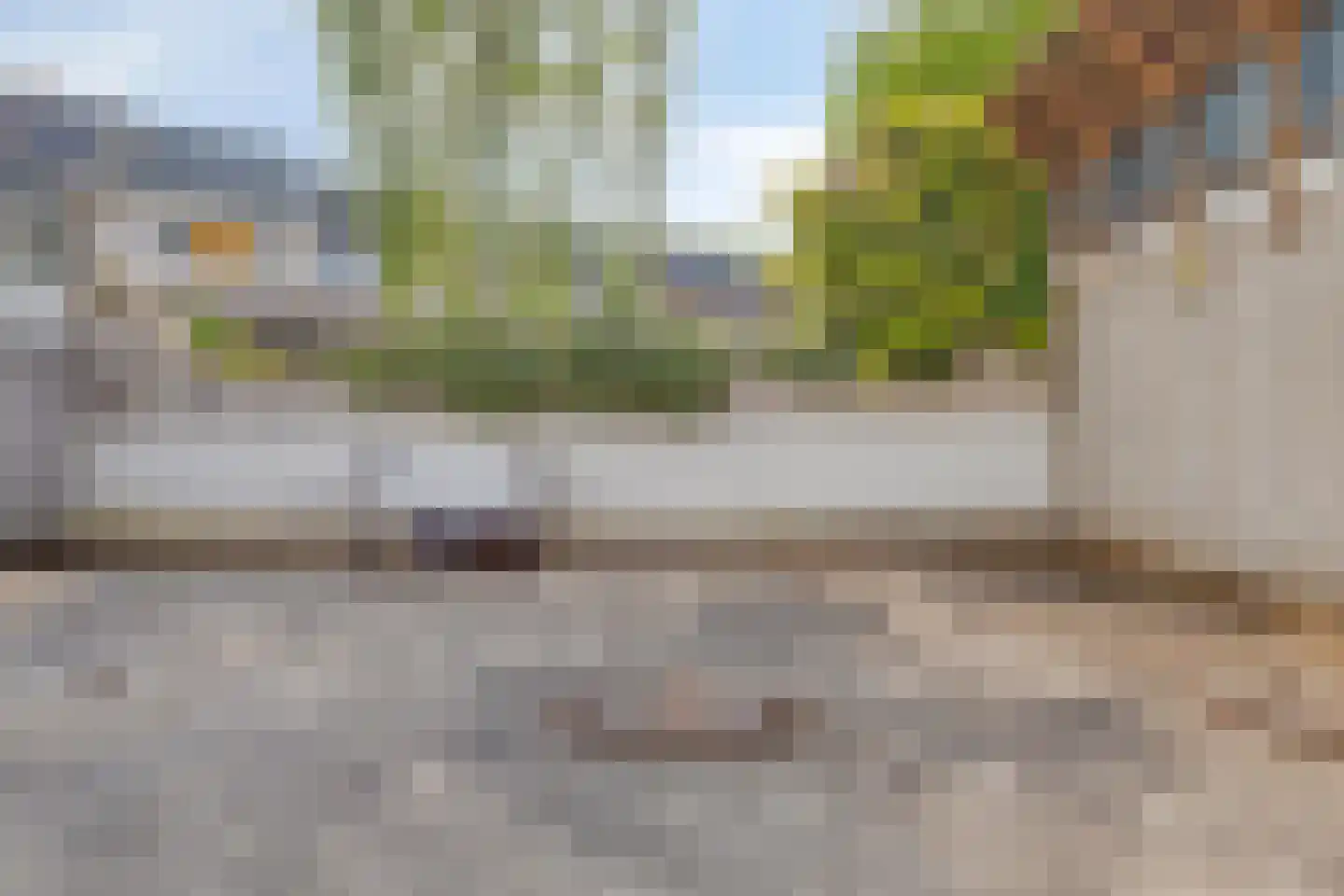 Clematispark 3 Zoetermeer thumbnail 33