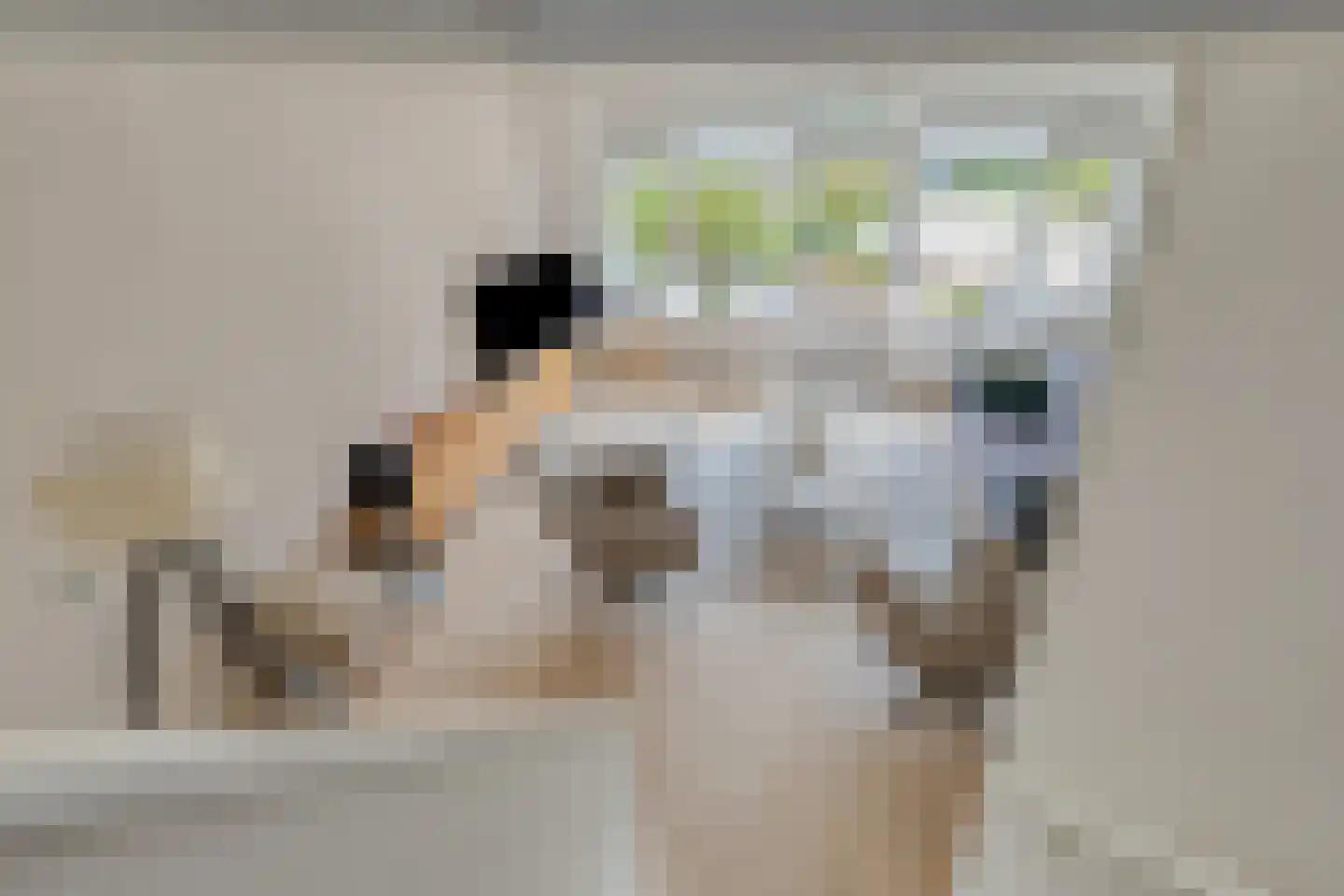 Clematispark 3 Zoetermeer thumbnail 9
