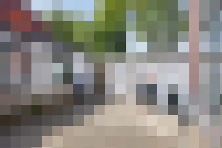 Clematisstraat 1 Almelo thumbnail 21