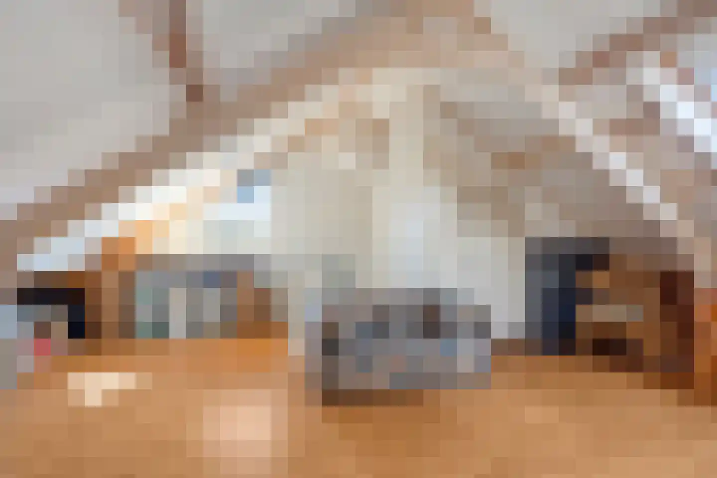 Clematisstraat 1 Musselkanaal thumbnail 31