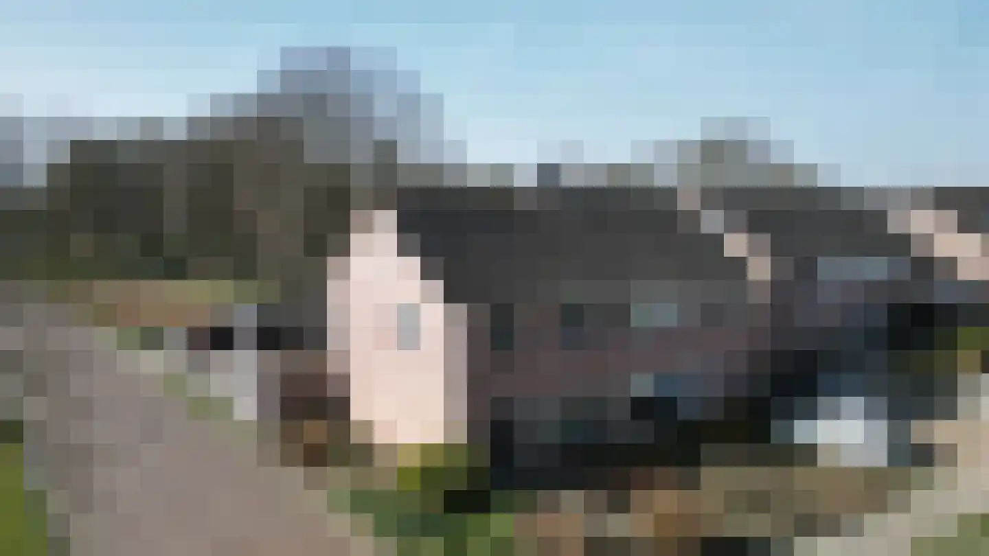 Clematisstraat 1 Musselkanaal thumbnail 47