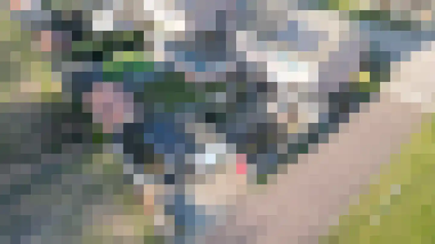 Clematisstraat 1 Musselkanaal thumbnail 6