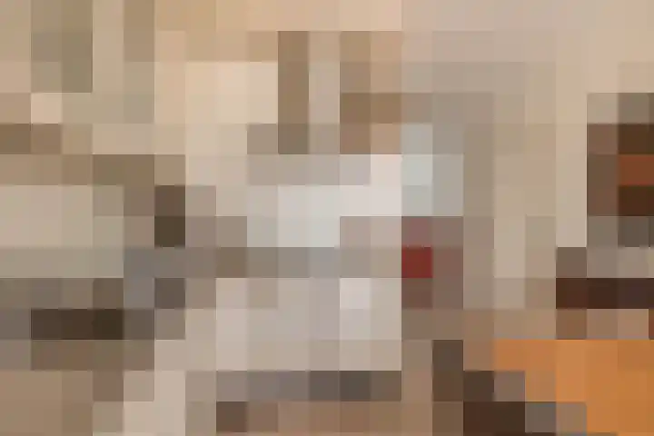 Clematisstraat 10 Schijndel thumbnail 8