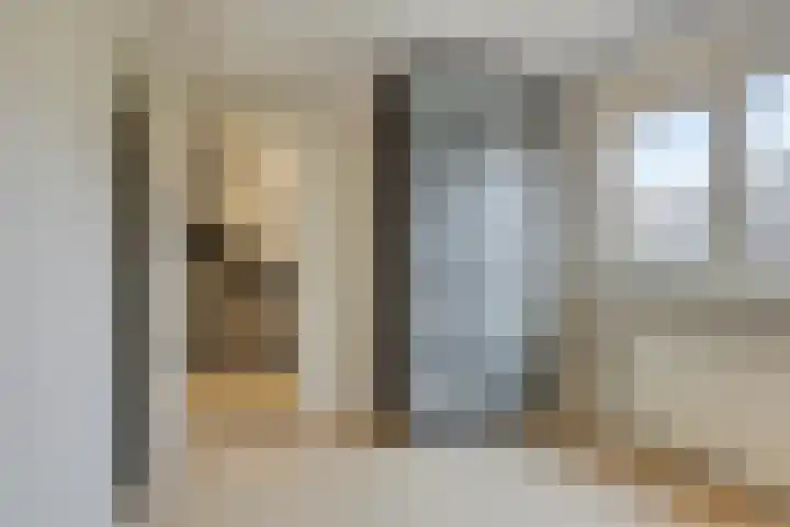 Clematisstraat 100 Denekamp thumbnail 20