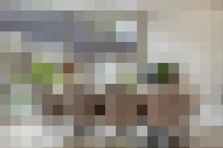 Clematisstraat 15 Denekamp thumbnail 10