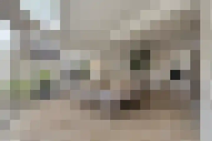 Clematisstraat 15 Denekamp thumbnail 11