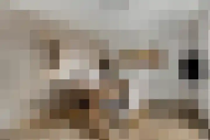 Clematisstraat 15 Denekamp thumbnail 20