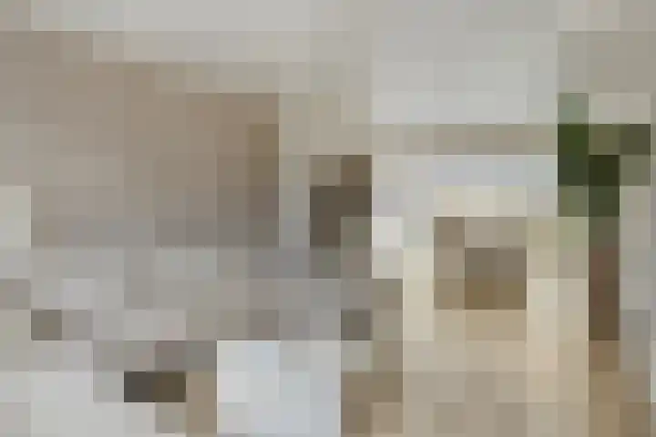 Clematisstraat 15 Denekamp thumbnail 6
