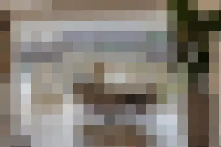 Clematisstraat 15 Denekamp thumbnail 8