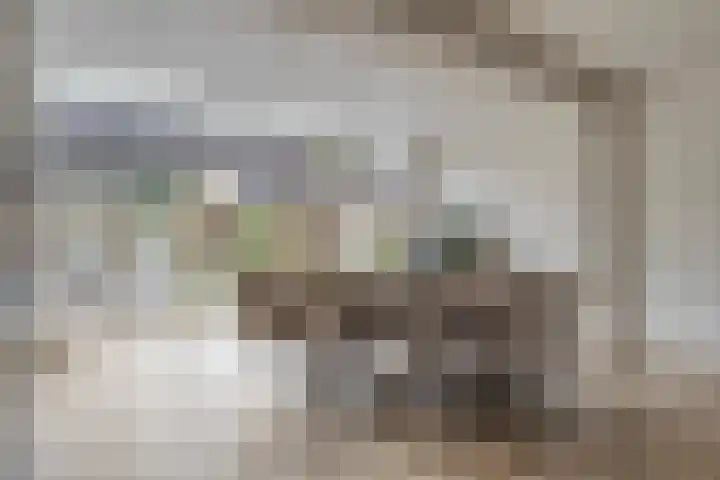 Clematisstraat 15 Denekamp thumbnail 9