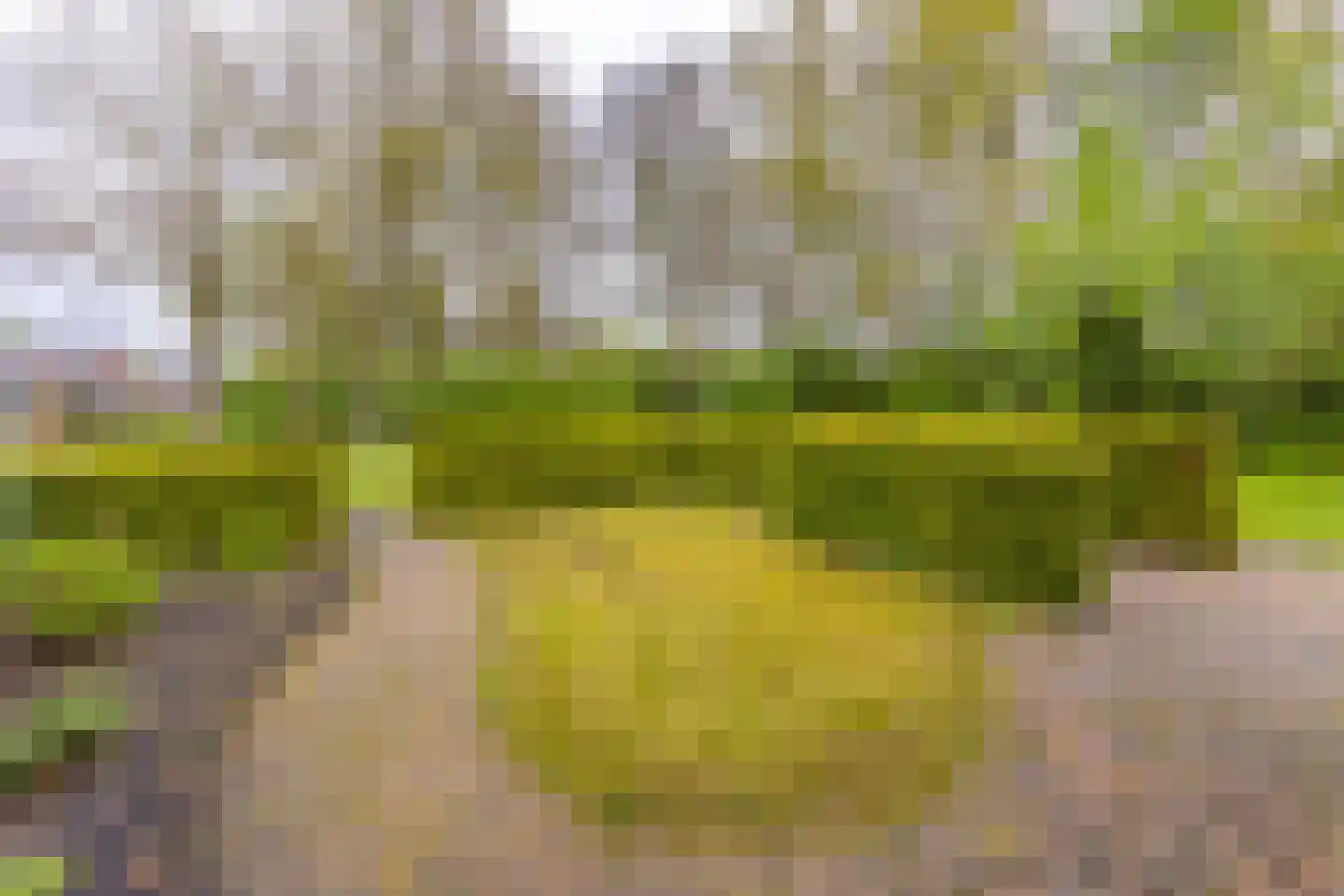 Clematisstraat 20 Musselkanaal thumbnail 5