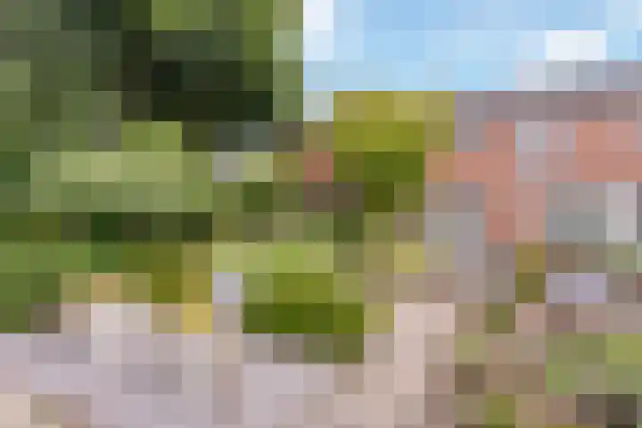 Clematisstraat 24 Denekamp thumbnail 5