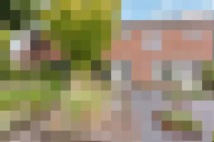 Clematisstraat 24 Denekamp thumbnail 6