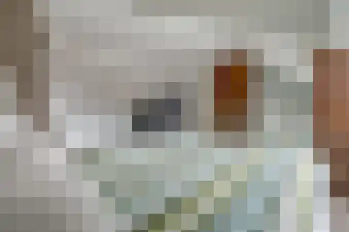 Clematisstraat 25 Almelo thumbnail 24