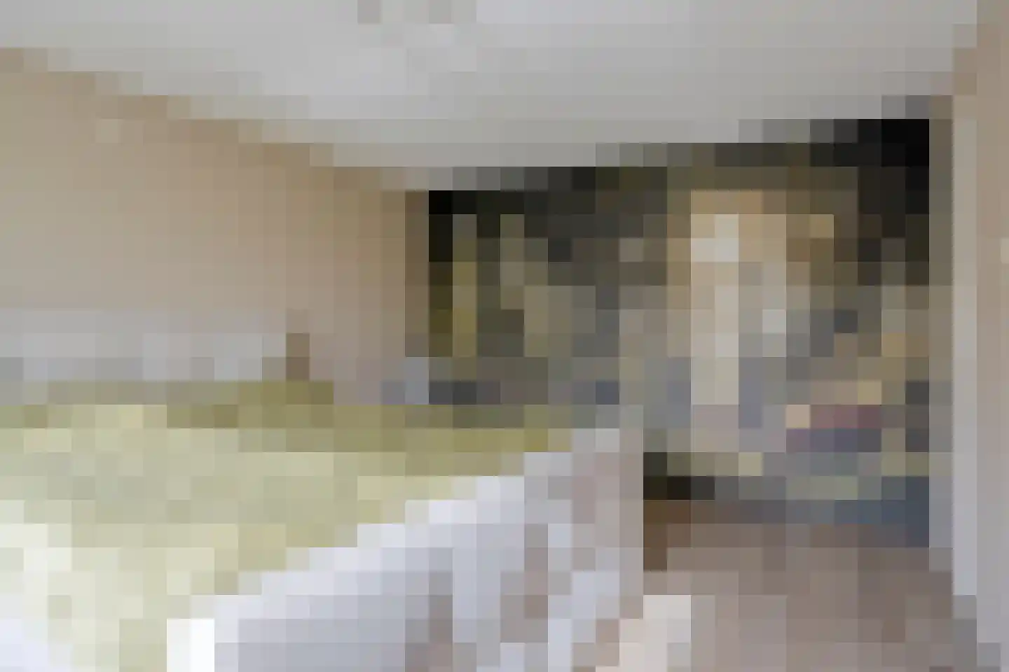 Clematisstraat 25 Denekamp thumbnail 19