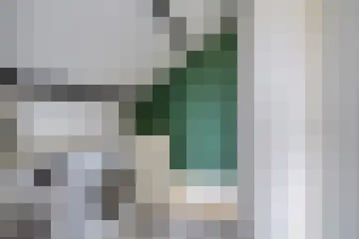 Clematisstraat 25 Denekamp thumbnail 22