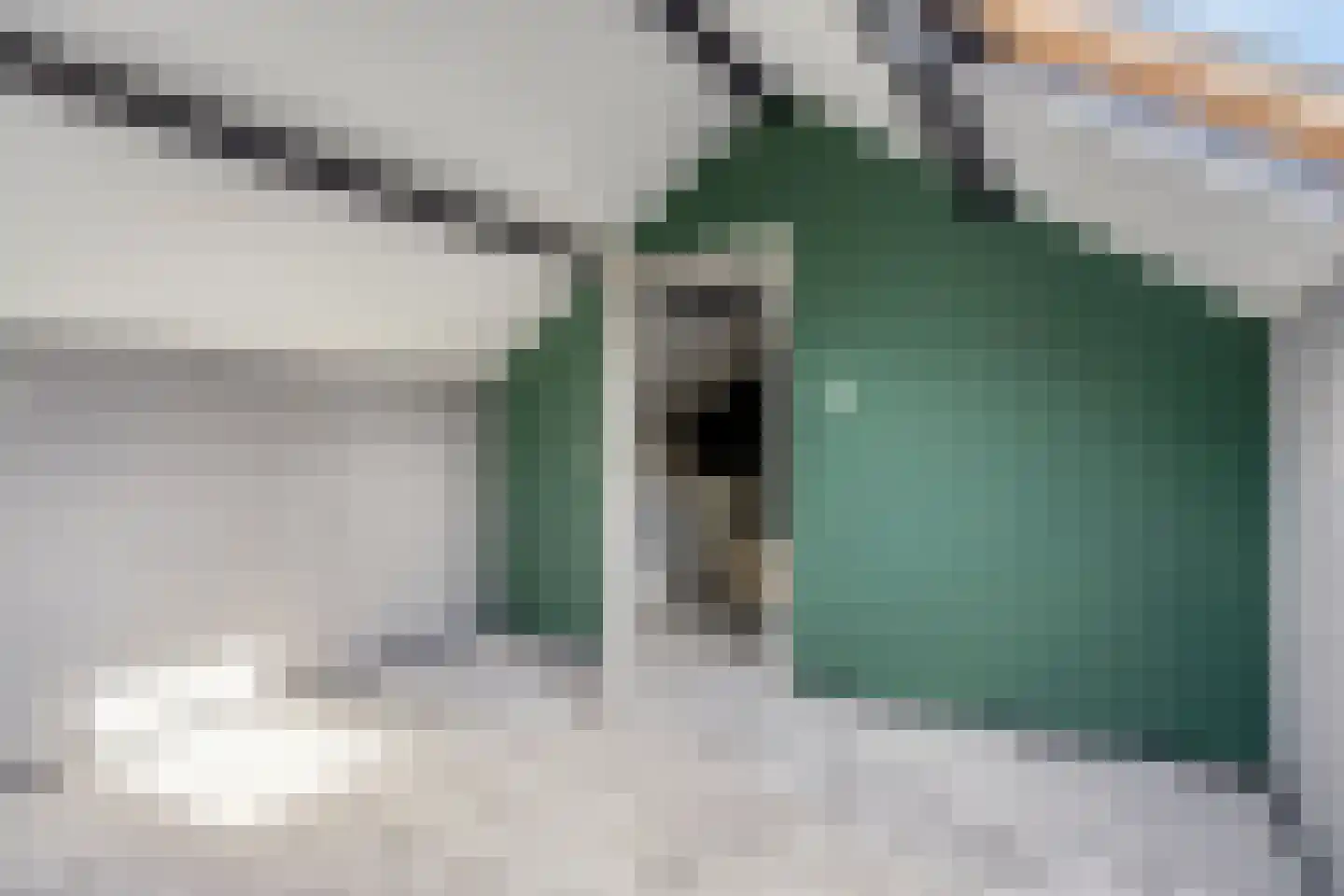 Clematisstraat 25 Denekamp thumbnail 25