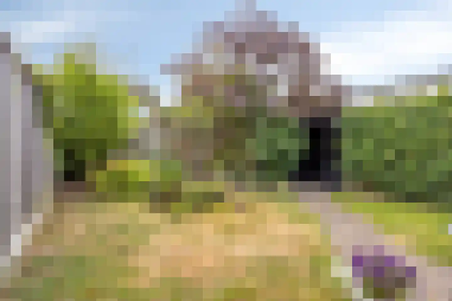 Clematisstraat 25 Denekamp thumbnail 27