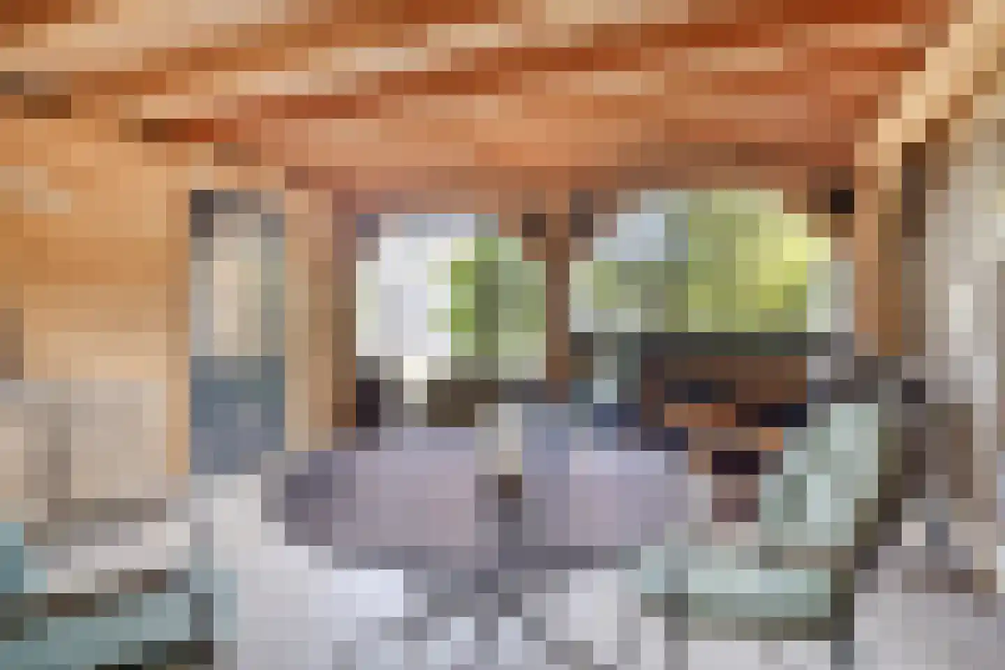 Clematisstraat 25 Denekamp thumbnail 31