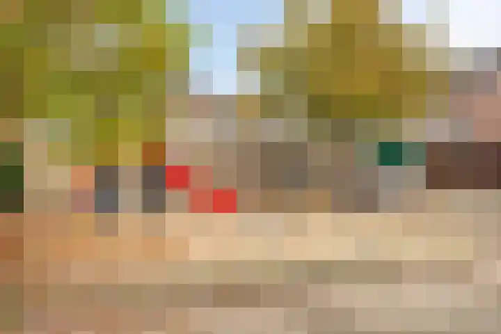 Clematisstraat 25 Denekamp thumbnail 36