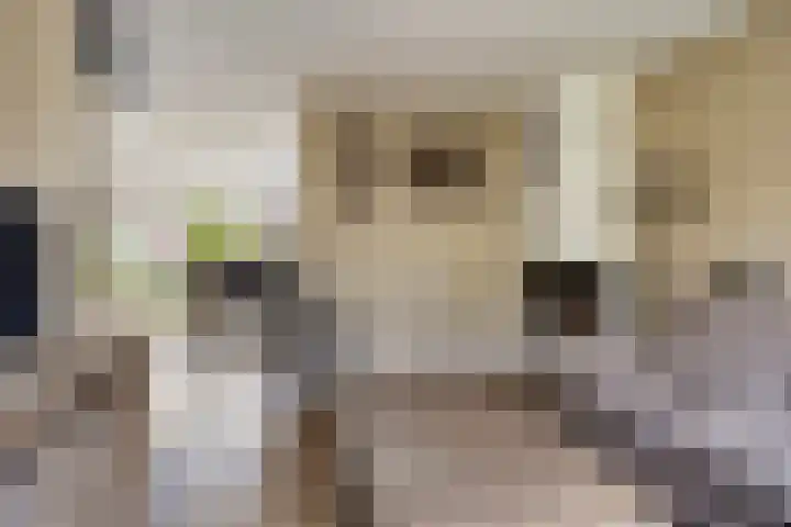 Clematisstraat 25 Denekamp thumbnail 4