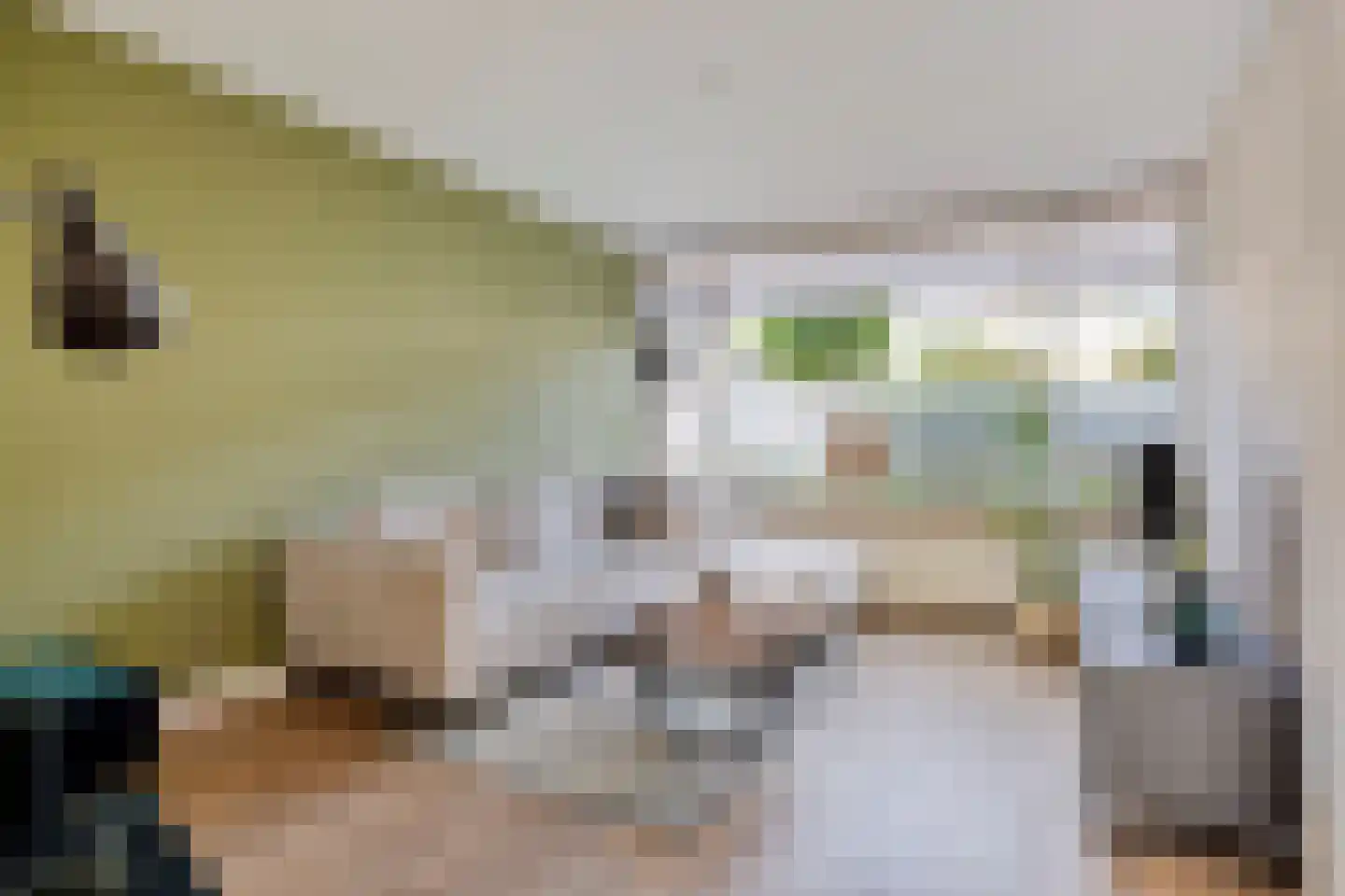 Clematisstraat 25 Denekamp thumbnail 5