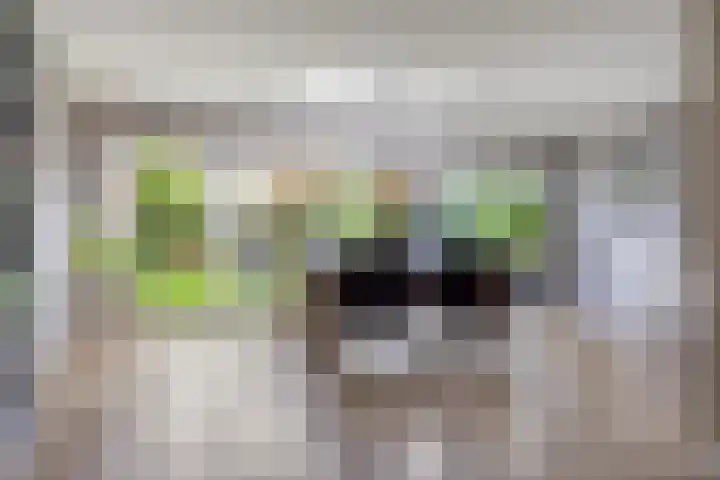 Clematisstraat 25 Denekamp thumbnail 7