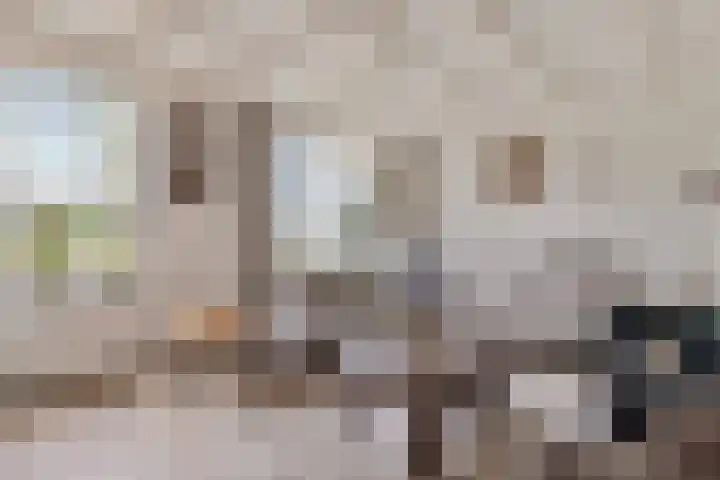 Clematisstraat 28 Venlo thumbnail 6