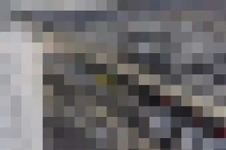 Clematisstraat 3 Opheusden thumbnail 17