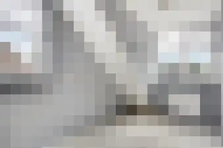 Clematisstraat 3 Opheusden thumbnail 23