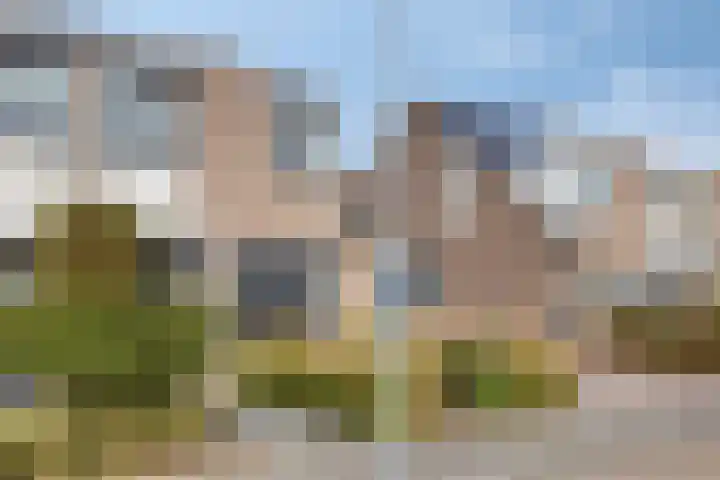 Clematisstraat 3 Opheusden thumbnail 31
