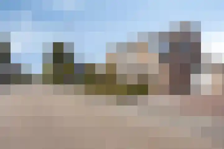 Clematisstraat 3 Opheusden thumbnail 4