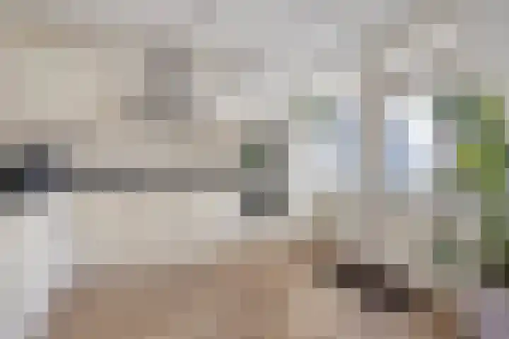 Clematisstraat 31 Denekamp thumbnail 18