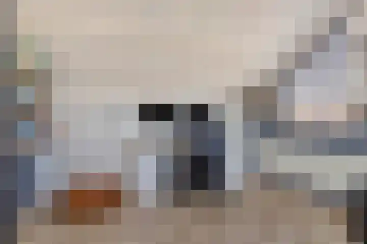 Clematisstraat 31 Denekamp thumbnail 32