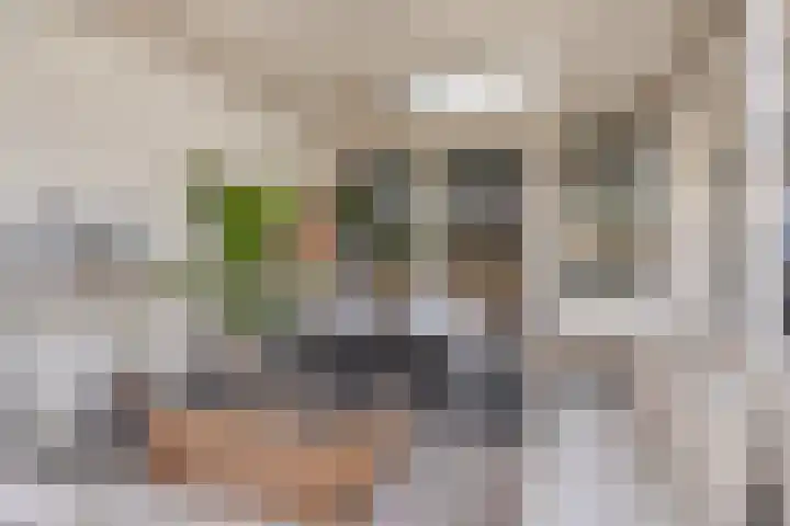 Clematisstraat 31 Denekamp thumbnail 34