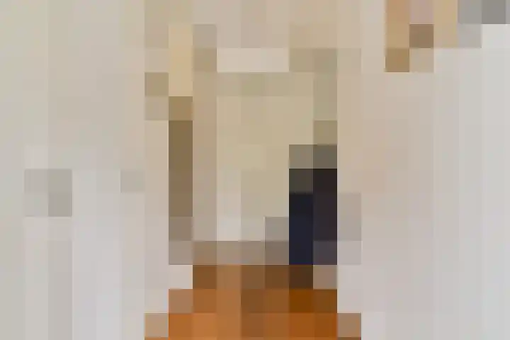 Clematisstraat 33 Rotterdam thumbnail 6