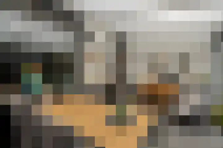 Clematisstraat 33 Venlo thumbnail 32