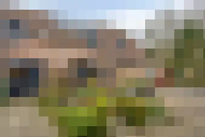 Clematisstraat 33 Venlo thumbnail 38