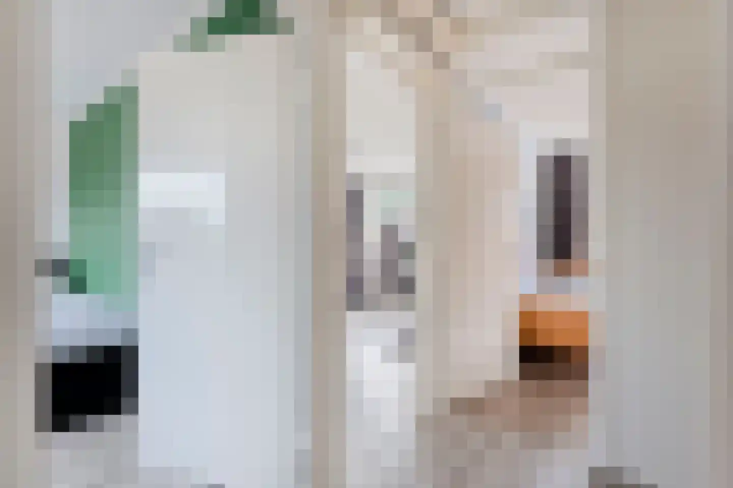 Clematisstraat 35 Denekamp thumbnail 17