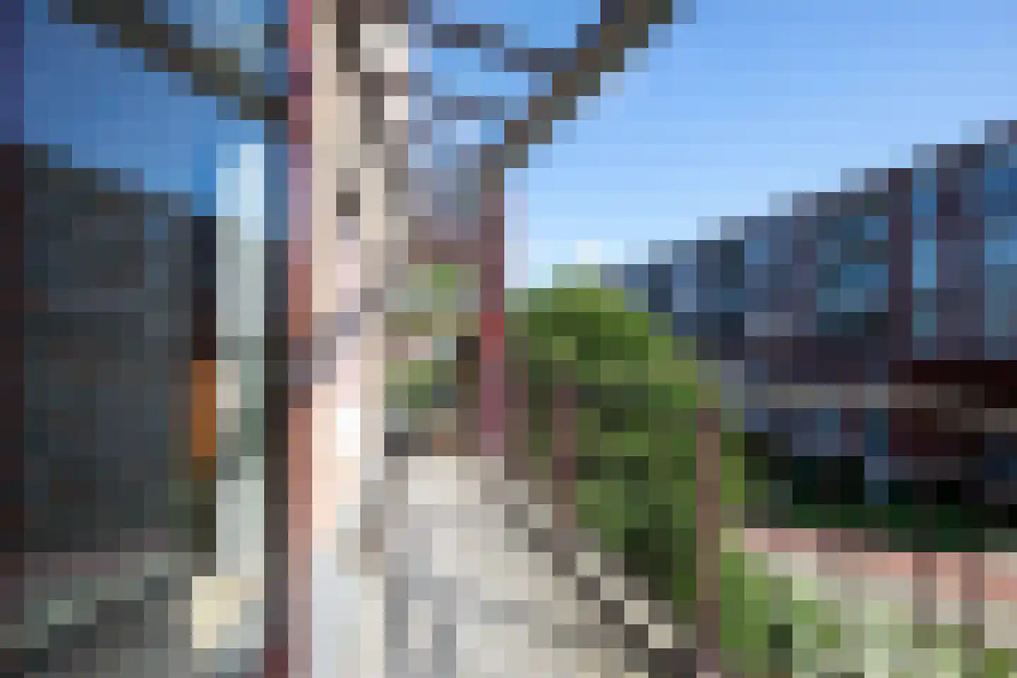 Clematisstraat 37 Aalsmeer thumbnail 17