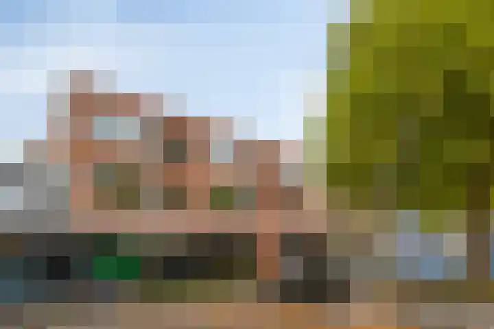 Clematisstraat 37 Breda thumbnail 6