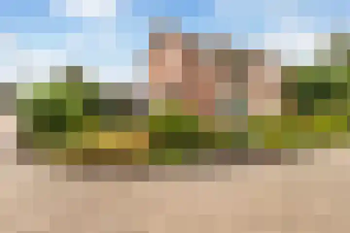 Clematisstraat 4 in Wezep